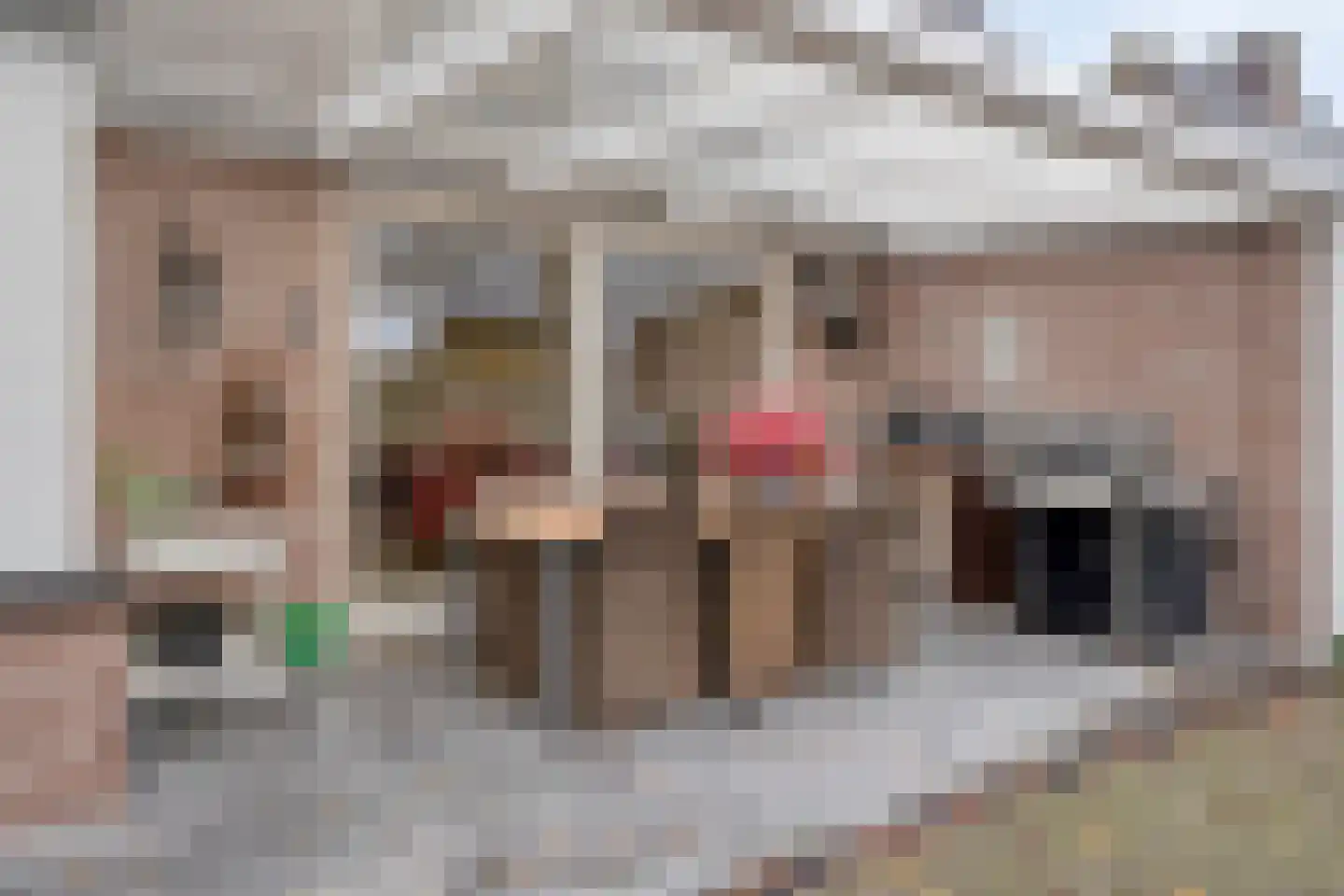 Nassaulaan 1 Steenbergen thumbnail 36
