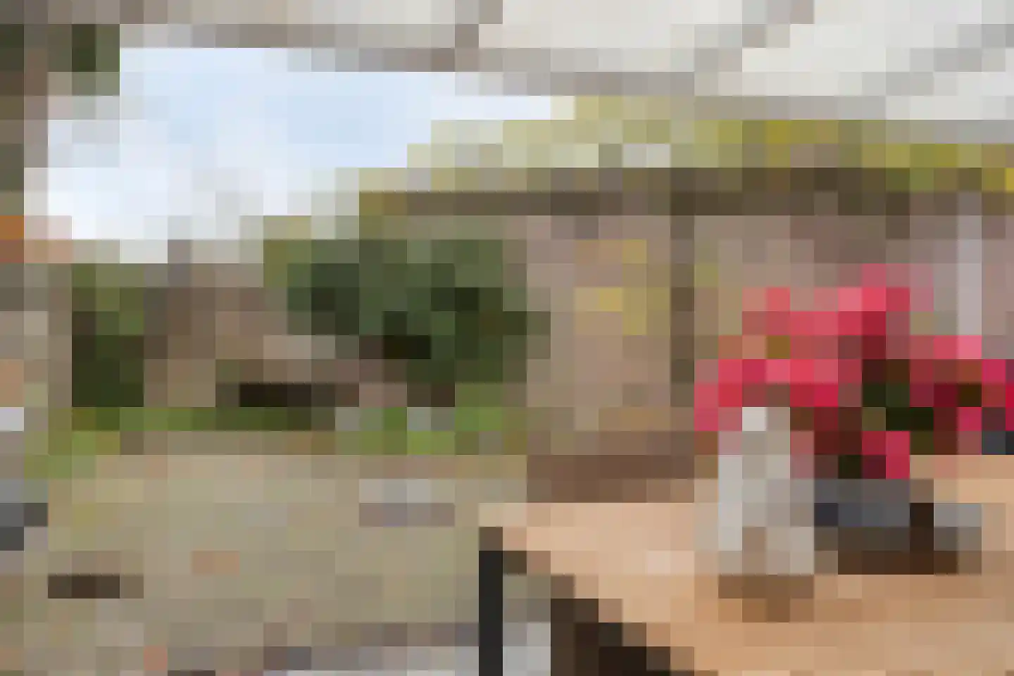 Nassaulaan 1 Steenbergen thumbnail 37