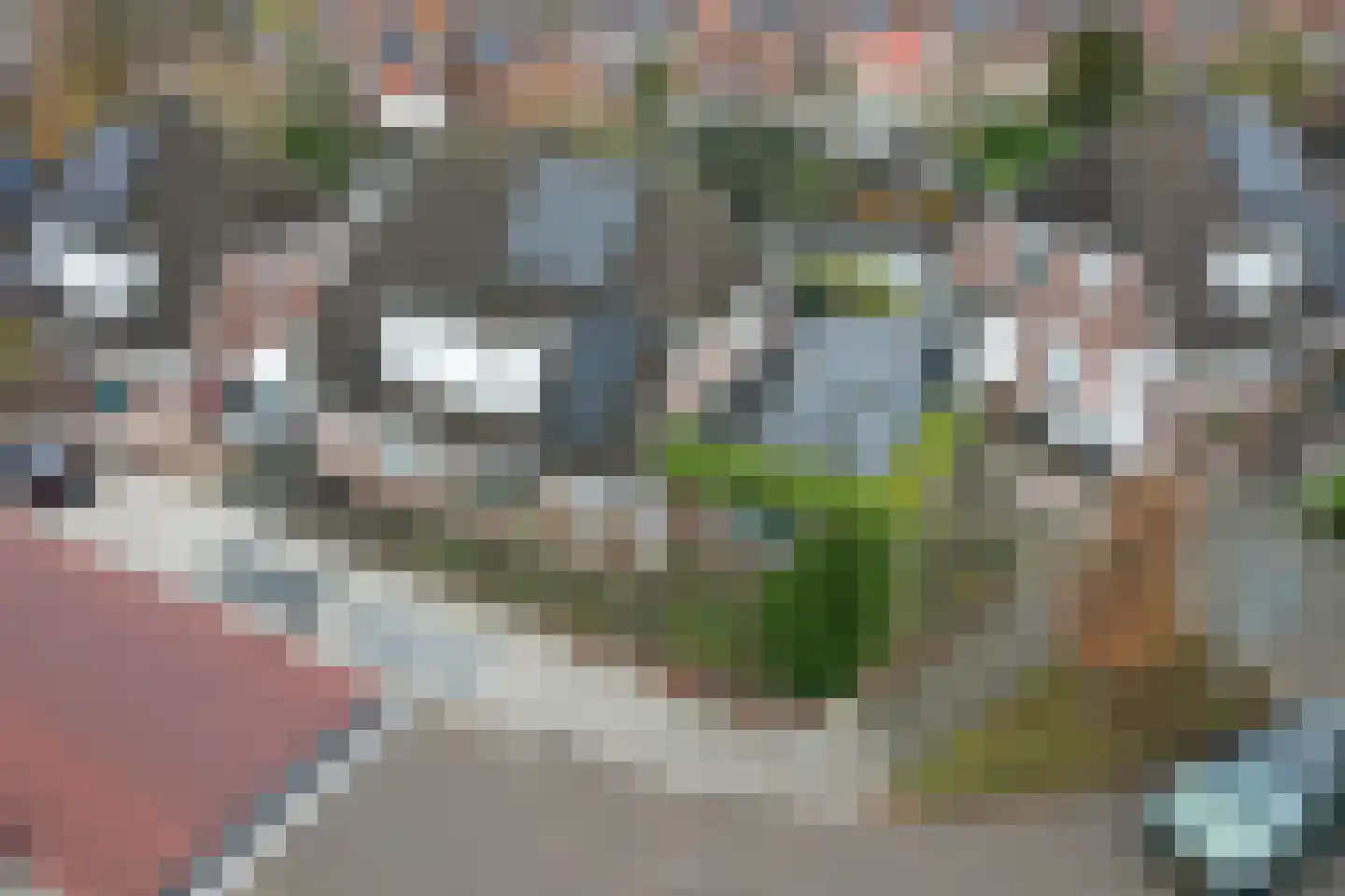 Nassaulaan 1 Steenbergen thumbnail 44