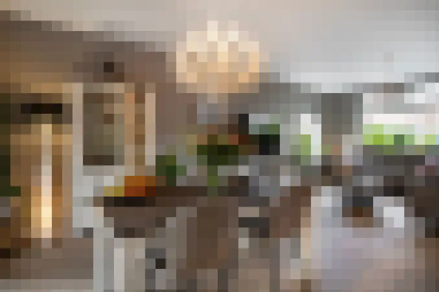 Nassaulaan 10 Ede thumbnail 11