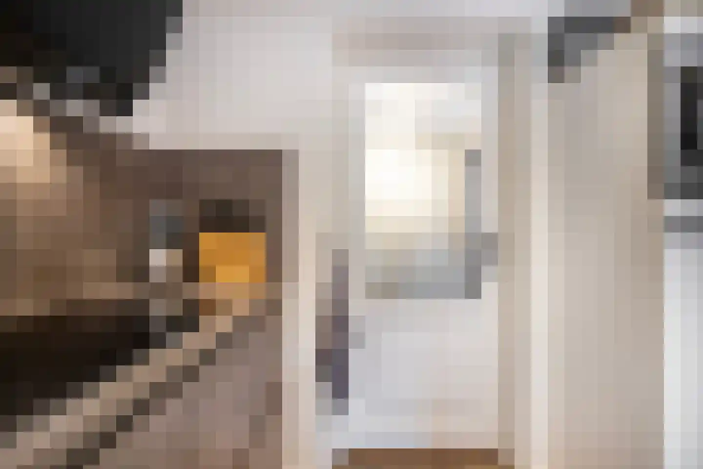 Nassaulaan 10 Ede thumbnail 15