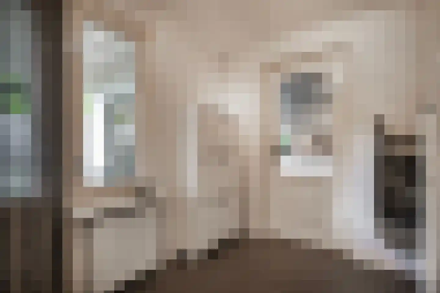 Nassaulaan 10 Ede thumbnail 17