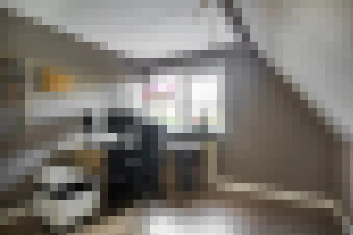 Nassaulaan 10 Ede thumbnail 24