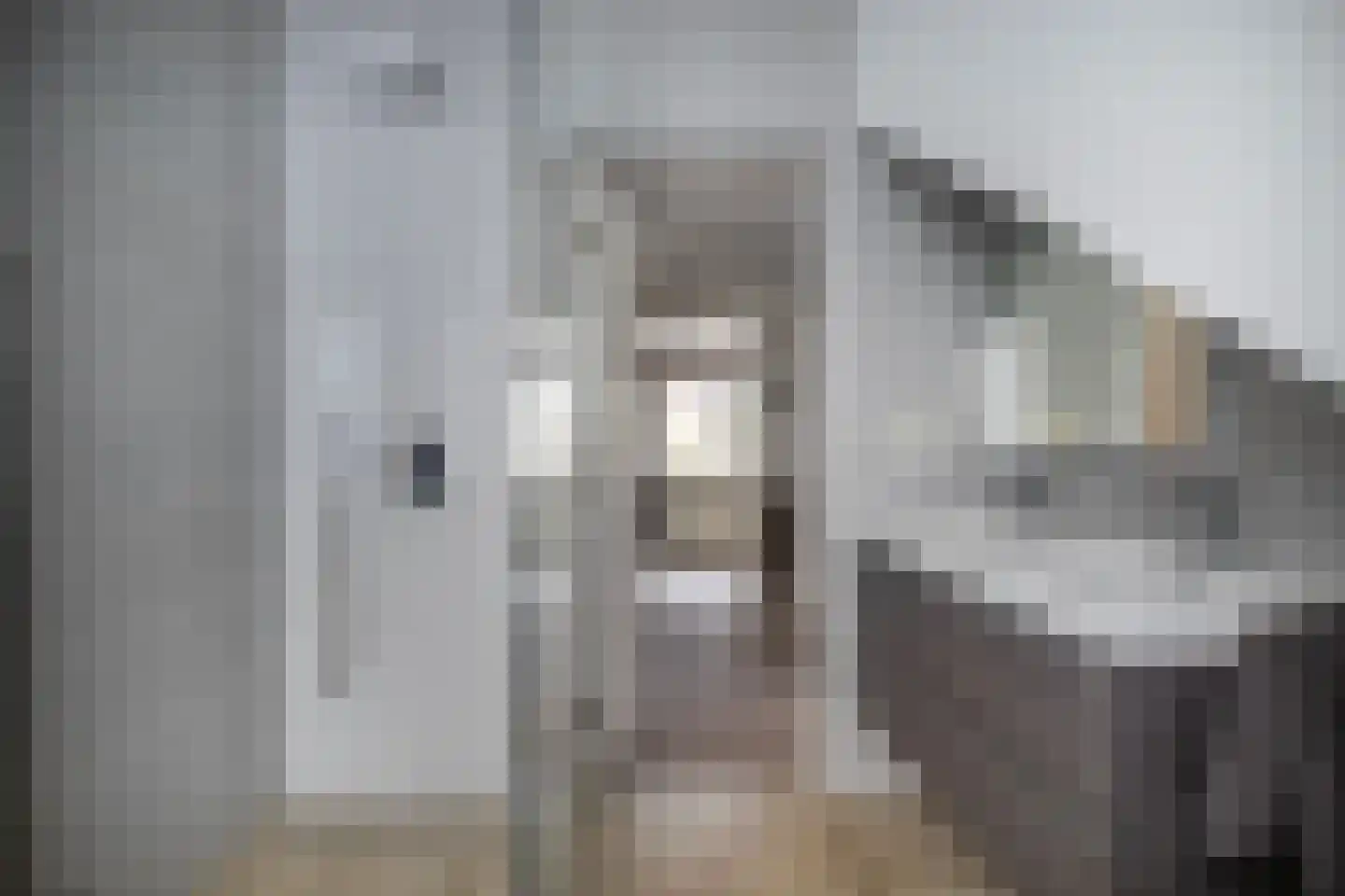 Nassaulaan 10 Ede thumbnail 29