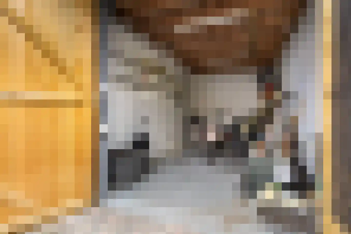 Nassaulaan 10 Ede thumbnail 40