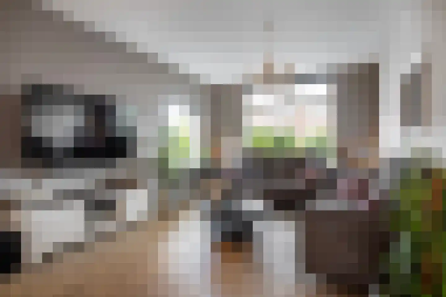 Nassaulaan 10 Ede thumbnail 5