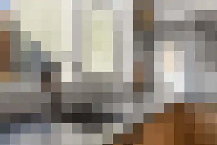 Nassaulaan 107 Goes thumbnail 12