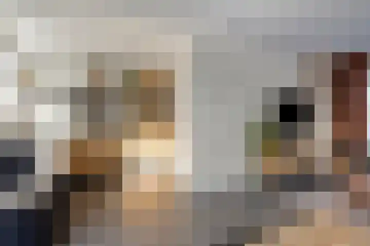 Nassaulaan 107 Goes thumbnail 13