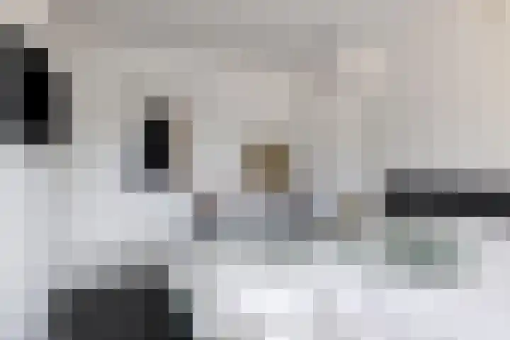 Nassaulaan 107 Goes thumbnail 16