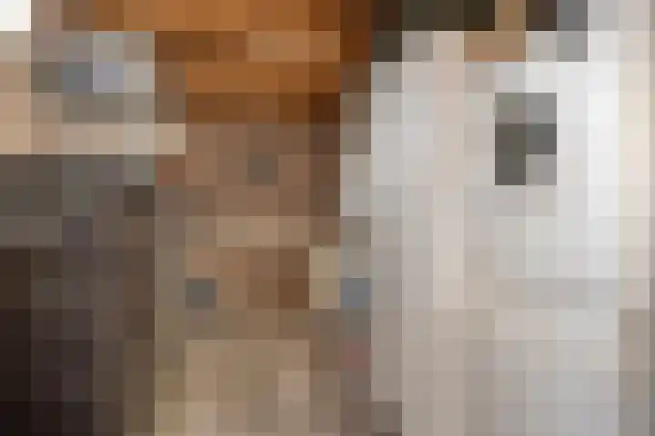 Nassaulaan 107 Goes thumbnail 24