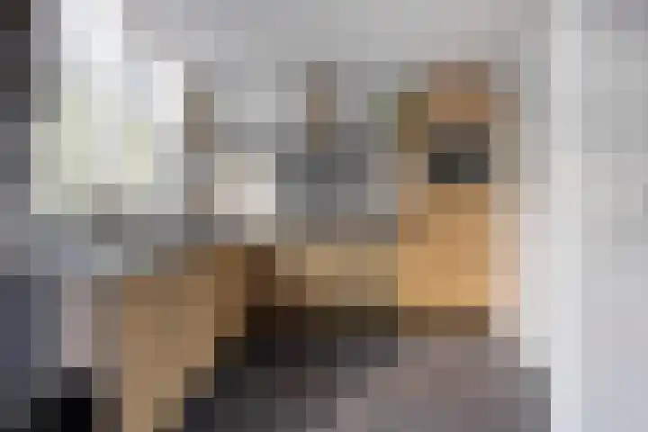 Nassaulaan 107 Goes thumbnail 7