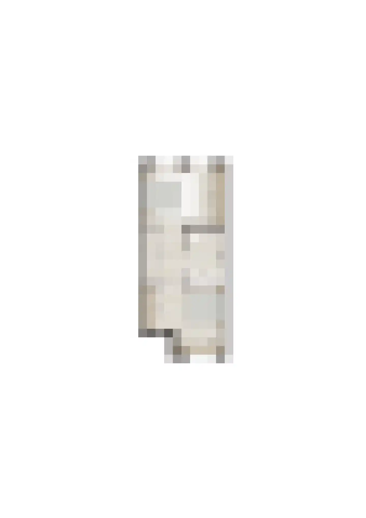 Nassaulaan 107 Maastricht thumbnail 5