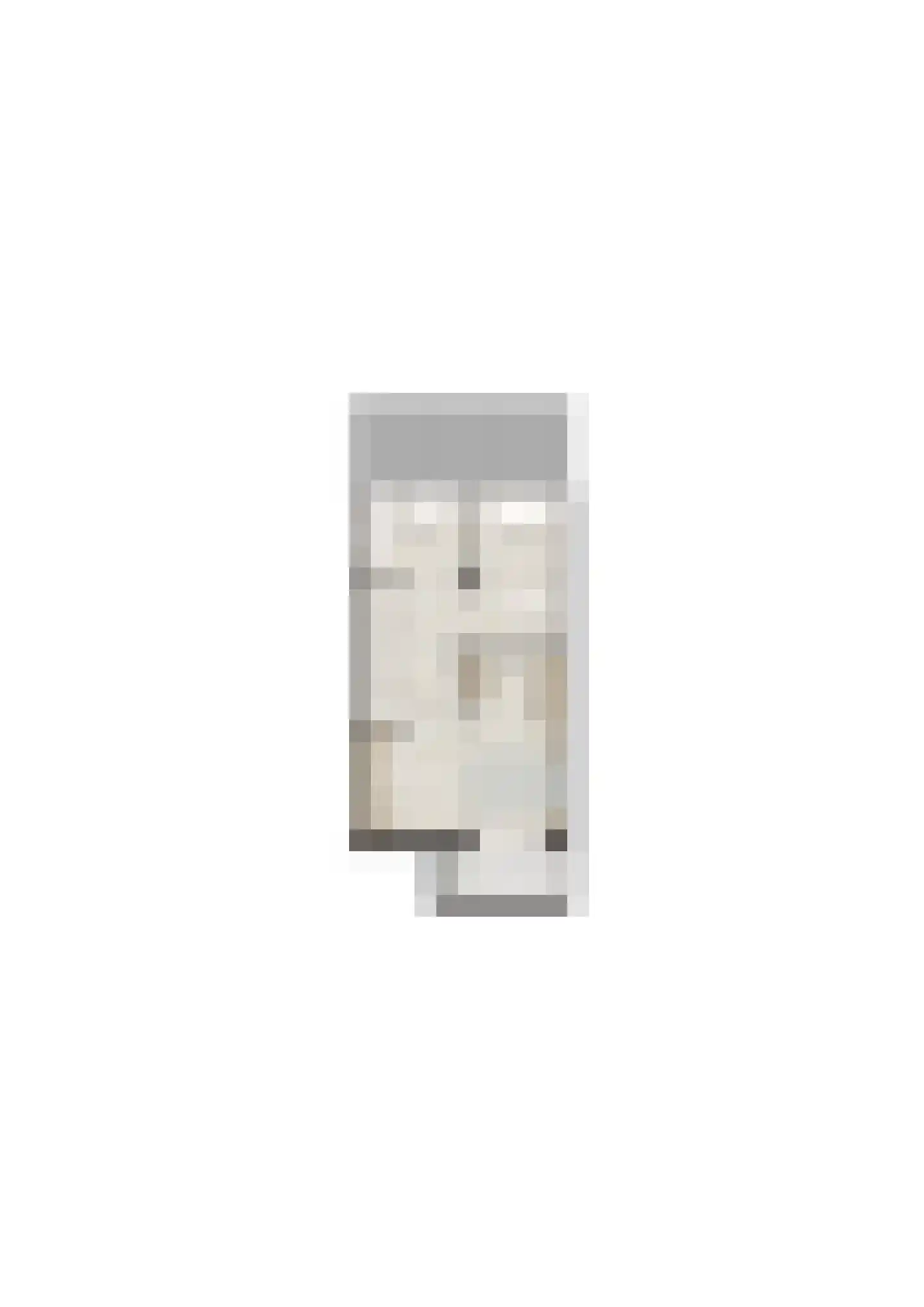 Nassaulaan 107 Maastricht thumbnail 6