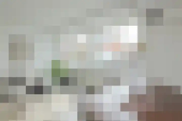 Nassaulaan 11 A Haarlem thumbnail 10