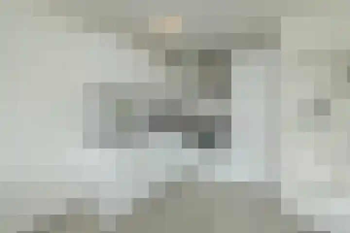 Nassaulaan 11 A Haarlem thumbnail 18