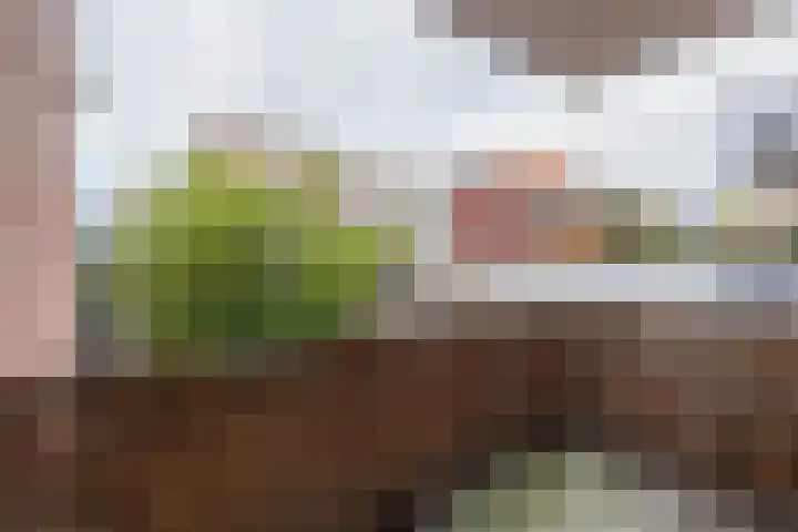 Nassaulaan 11 A Haarlem thumbnail 27