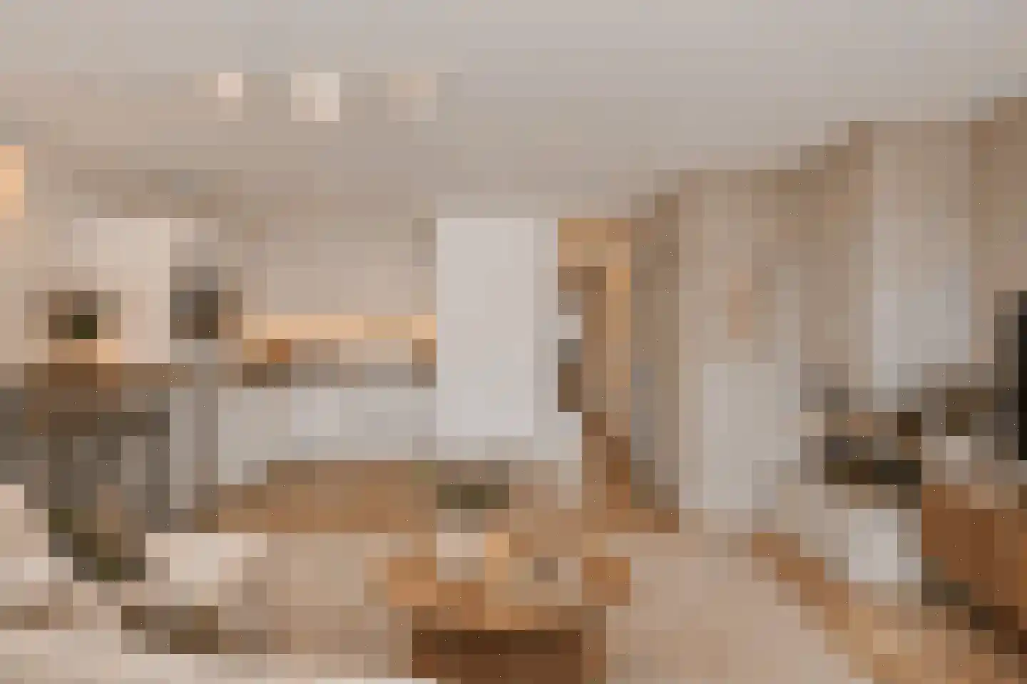 Nassaulaan 11 E Haarlem thumbnail 4