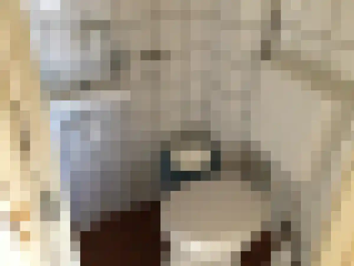Nassaulaan 11 Harderwijk thumbnail 6