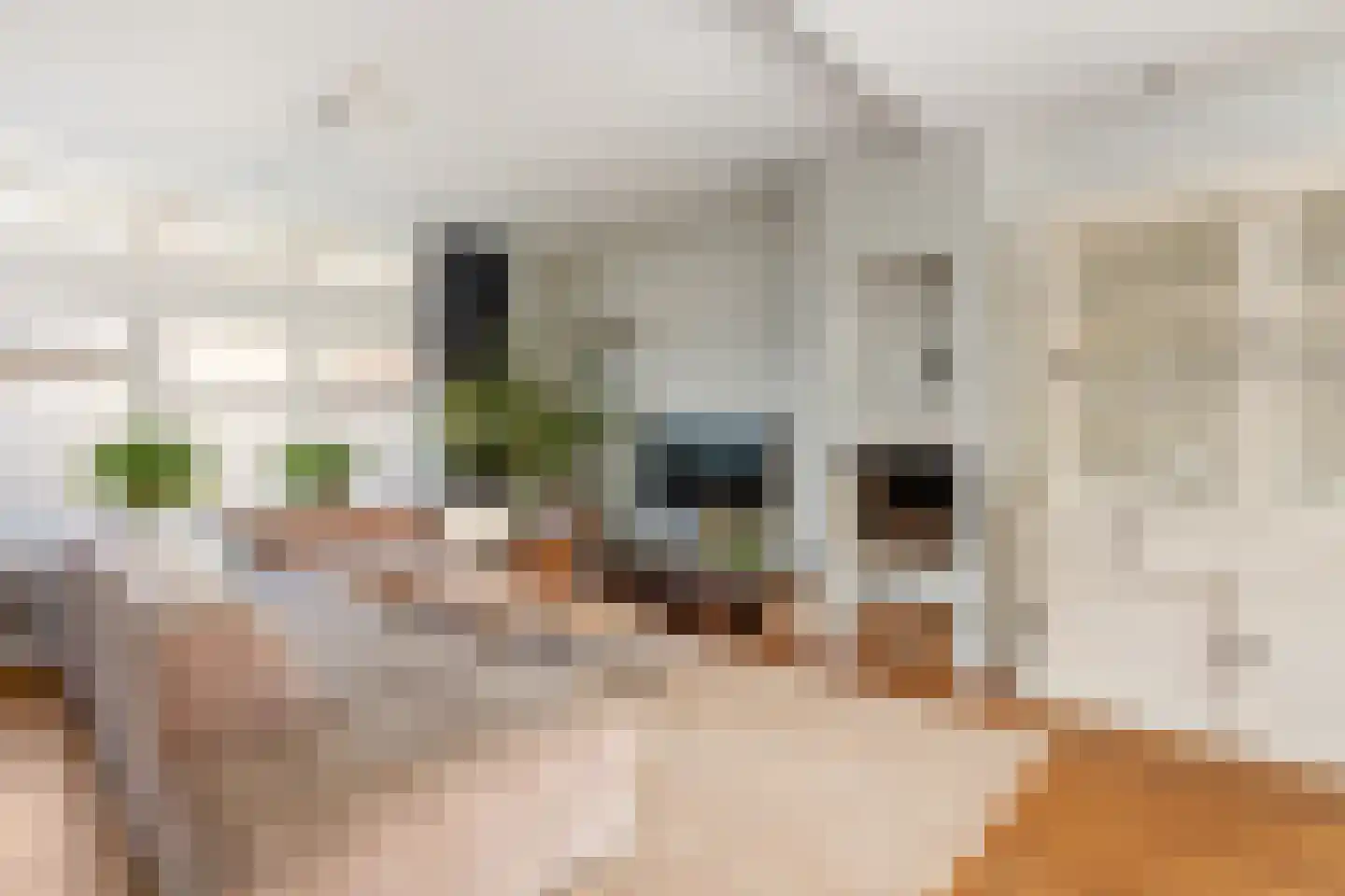Nassaulaan 11 Hilversum thumbnail 12