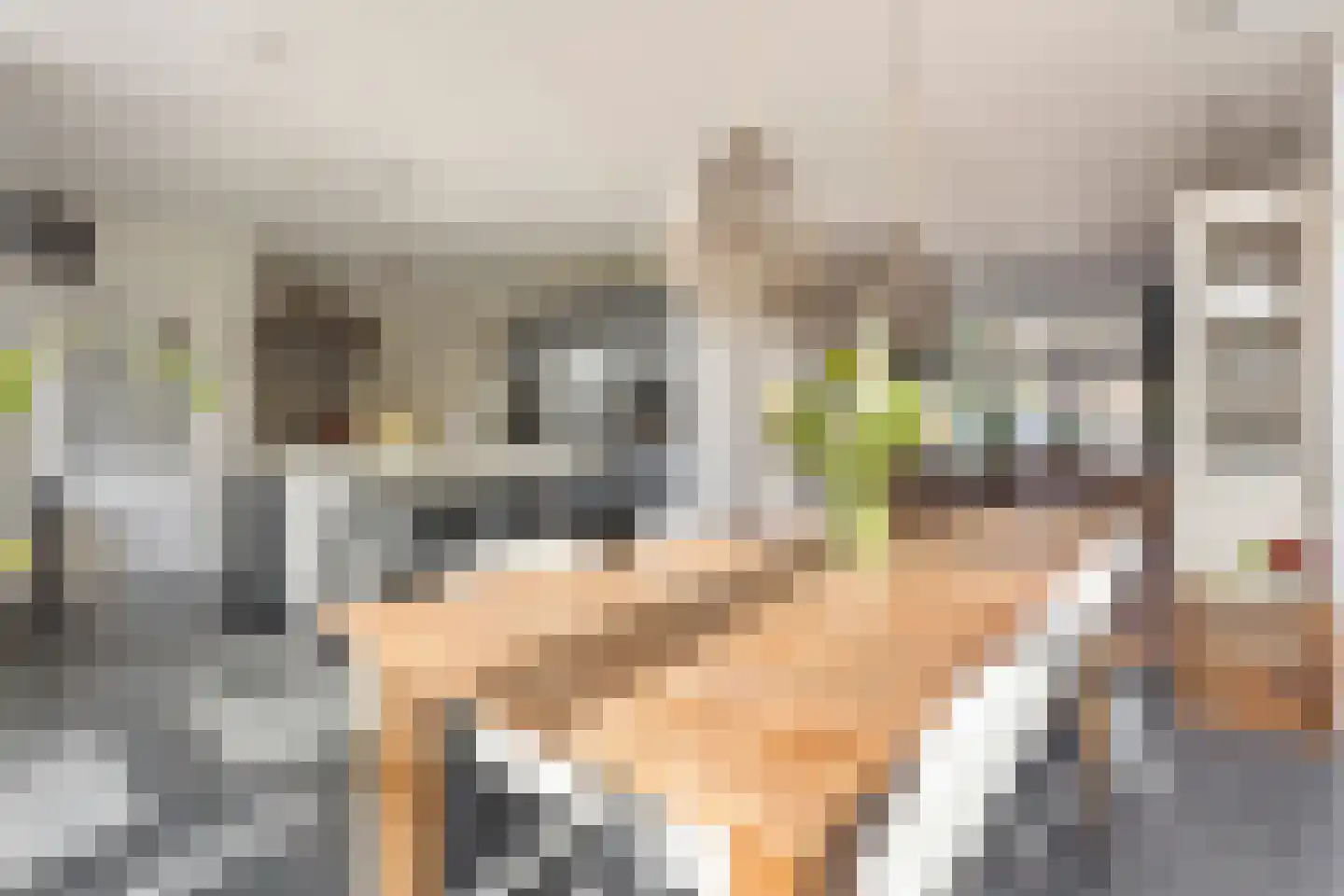 Nassaulaan 11 Hilversum thumbnail 18