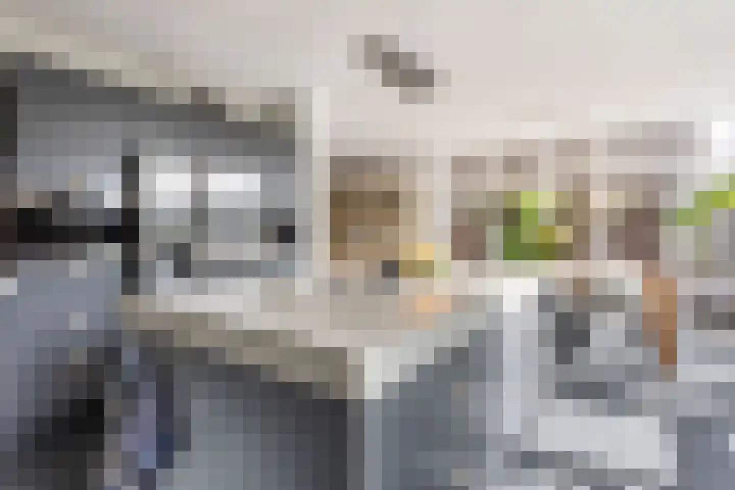 Nassaulaan 11 Hilversum thumbnail 23