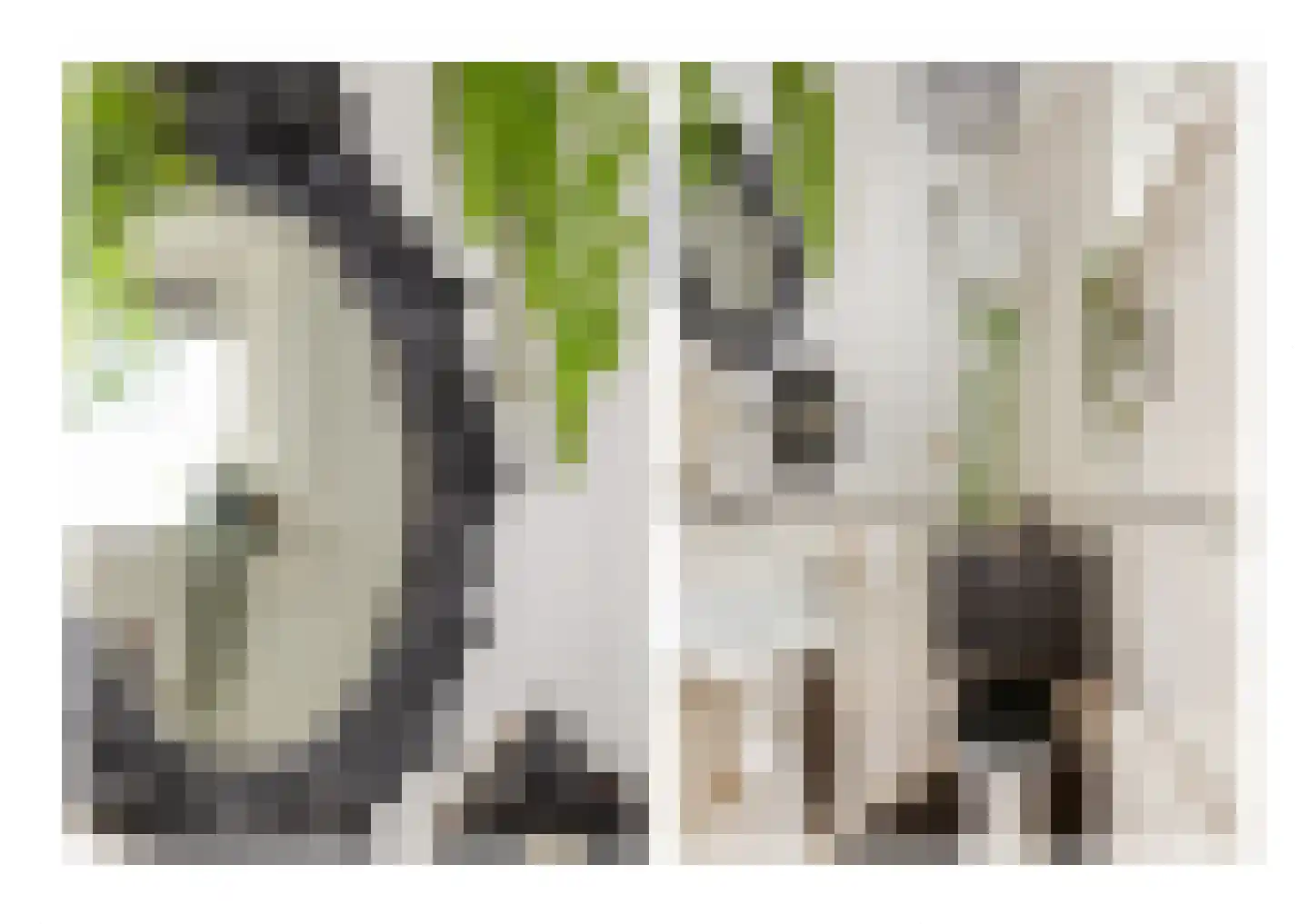 Nassaulaan 11 Hilversum thumbnail 31