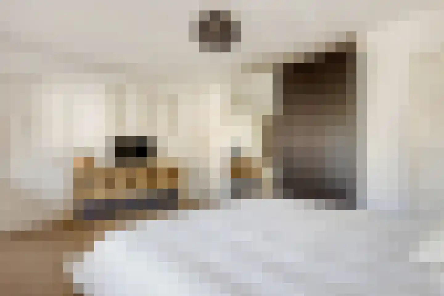 Nassaulaan 11 Hilversum thumbnail 37