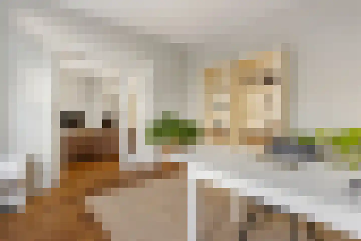 Nassaulaan 11 Hilversum thumbnail 8