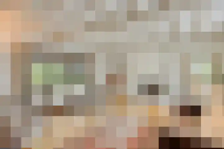 Nassaulaan 11 Oisterwijk thumbnail 11