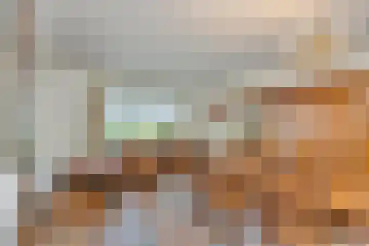 Nassaulaan 11 Oisterwijk thumbnail 13