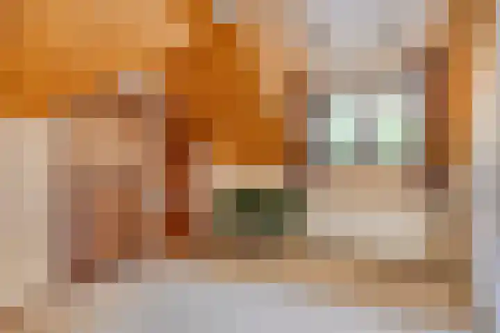 Nassaulaan 11 Oisterwijk thumbnail 22