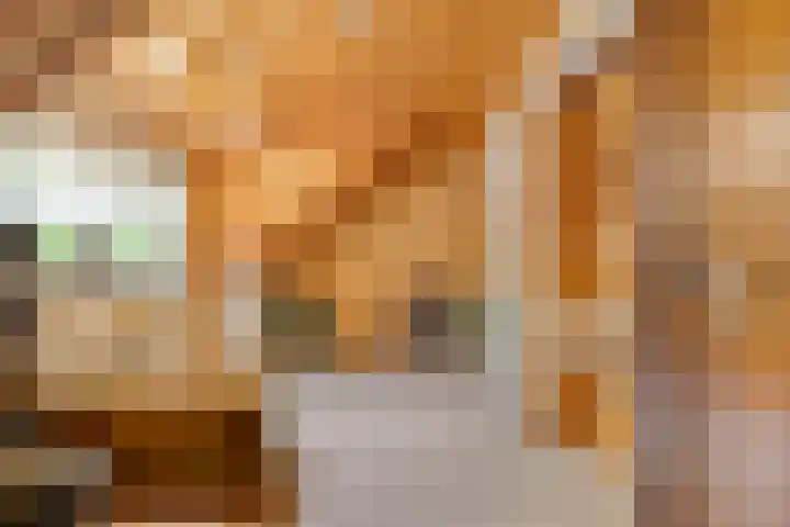 Nassaulaan 11 Oisterwijk thumbnail 23