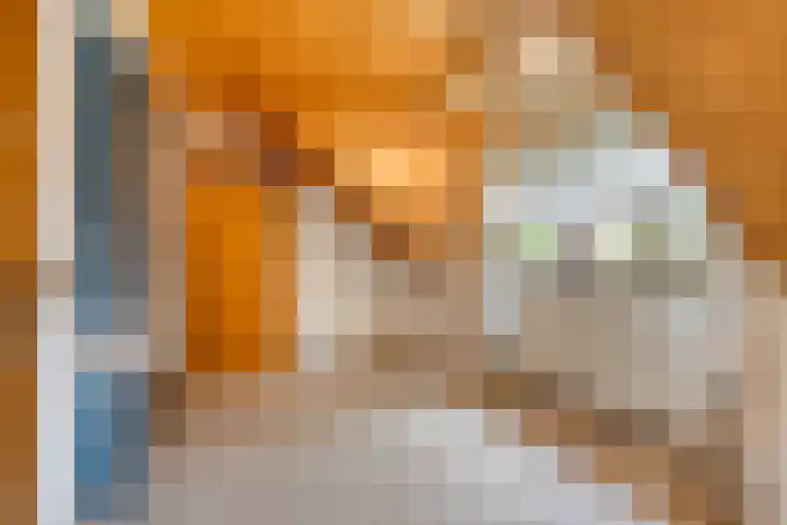 Nassaulaan 11 Oisterwijk thumbnail 24