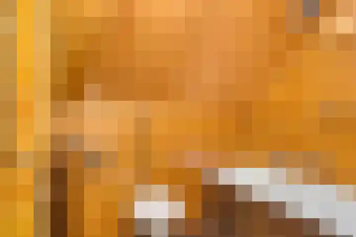 Nassaulaan 11 Oisterwijk thumbnail 25