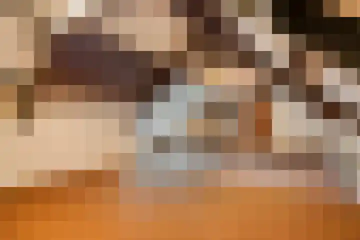 Nassaulaan 11 Oisterwijk thumbnail 26