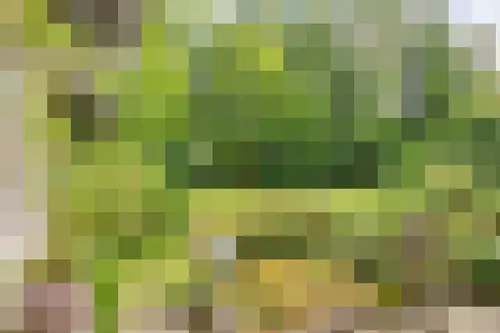 Nassaulaan 11 Oisterwijk thumbnail 28