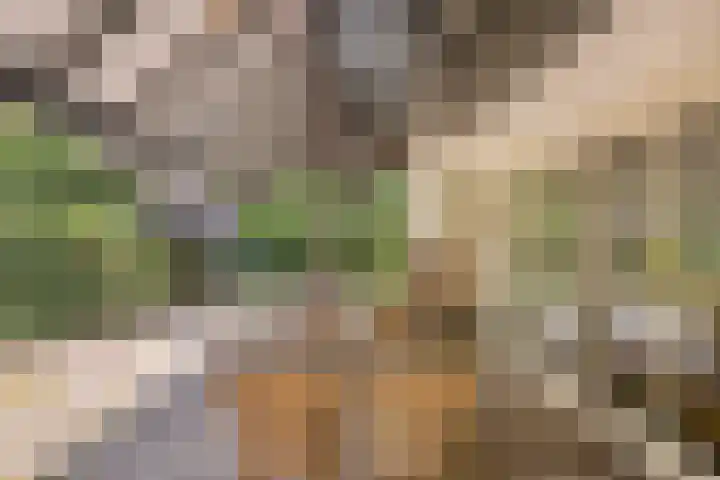Nassaulaan 11 Oisterwijk thumbnail 29