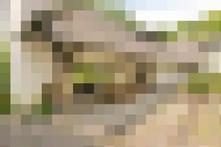 Nassaulaan 11 Oisterwijk thumbnail 30
