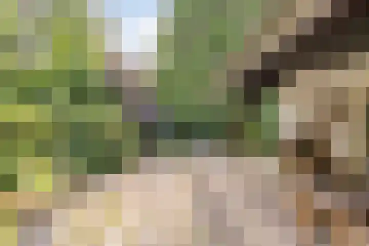 Nassaulaan 11 Oisterwijk thumbnail 31