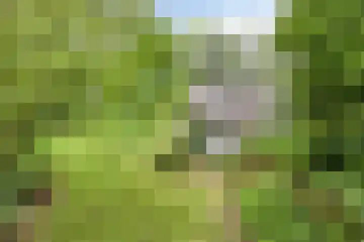 Nassaulaan 11 Oisterwijk thumbnail 32