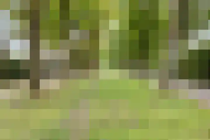 Nassaulaan 11 Oisterwijk thumbnail 34
