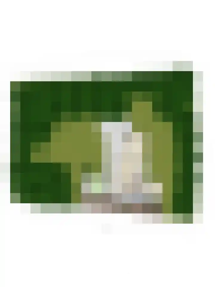 Nassaulaan 11 Oisterwijk thumbnail 38