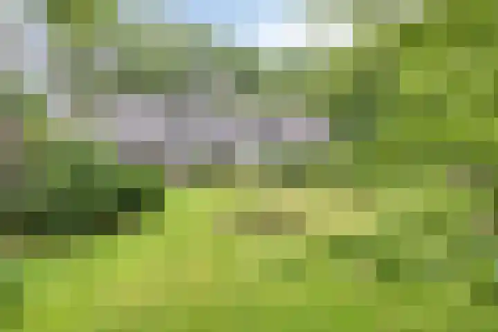 Nassaulaan 11 Oisterwijk thumbnail 39