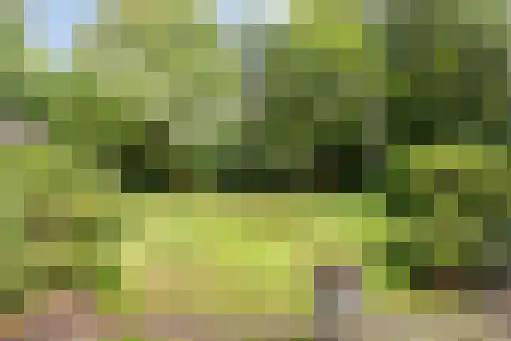 Nassaulaan 11 Oisterwijk thumbnail 4