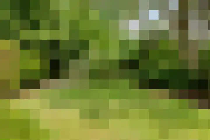 Nassaulaan 11 Oisterwijk thumbnail 5