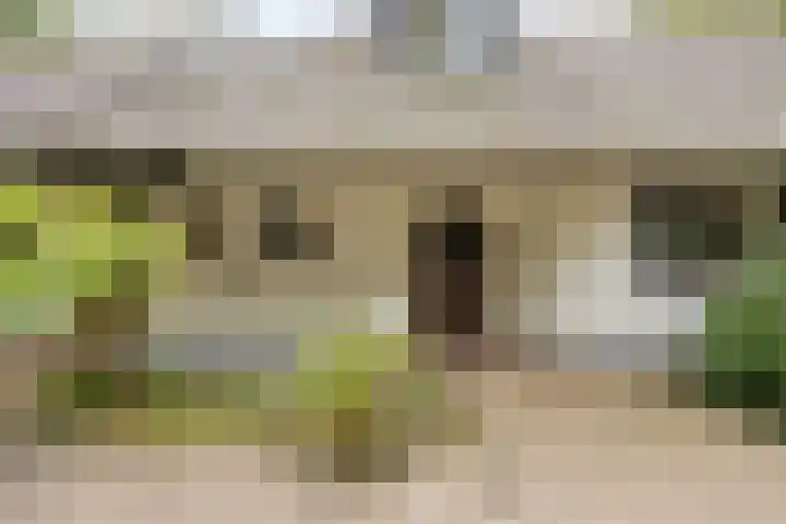 Nassaulaan 11 Oisterwijk thumbnail 7