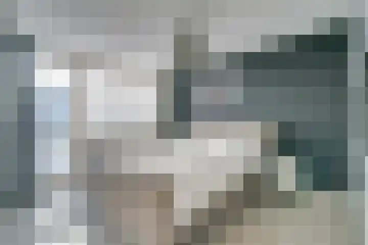 Nassaulaan 11 Rijnsburg thumbnail 16