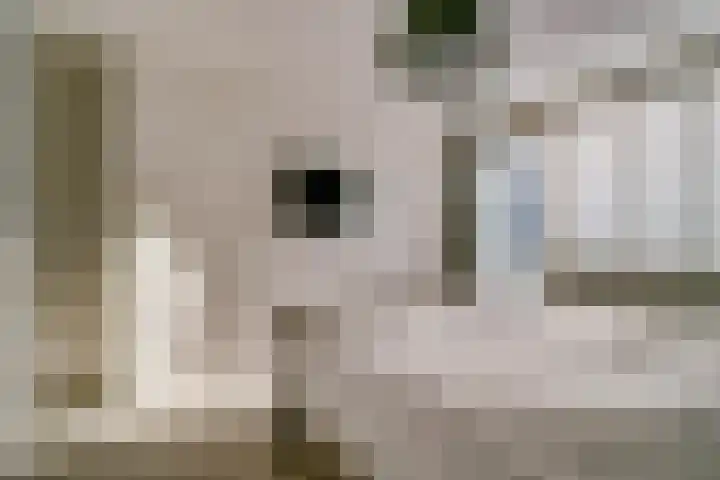 Nassaulaan 11 Rijnsburg thumbnail 17