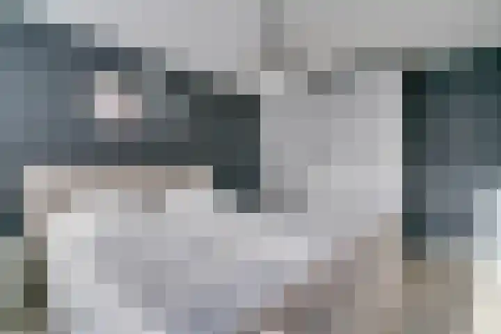 Nassaulaan 11 Rijnsburg thumbnail 18