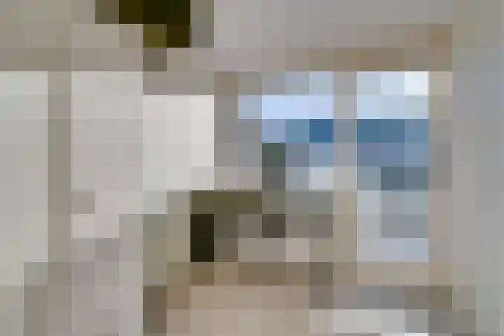 Nassaulaan 11 Rijnsburg thumbnail 25